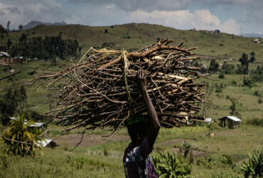 Rapport annuel du Cluster Protection en République Démodratique du Congo