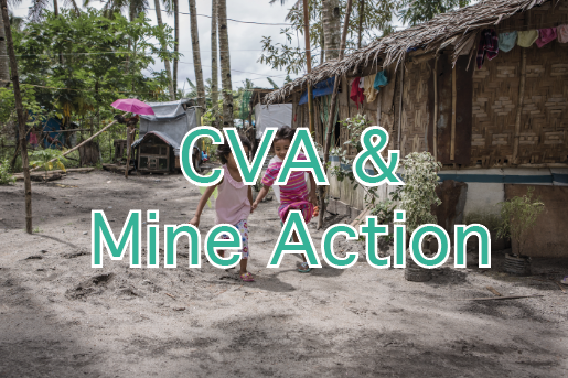 CVA & Mine action