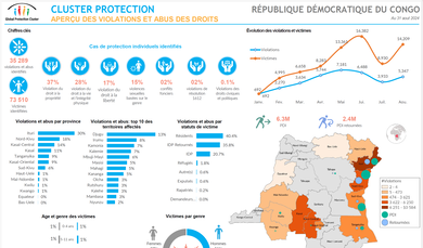 Aperçu des violations et abus de janvier à aout 2024