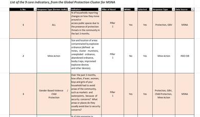 Protection Core Indicators List