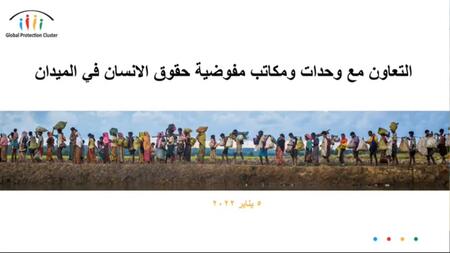 Webinar on collaboration with OHCHR (ARABIC)