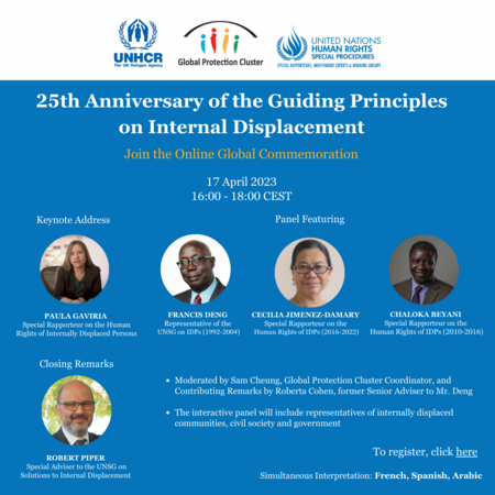 25th Anniversary of the Guiding Principles on Internal Displacement - Online Global Event 