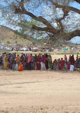 Protection Monitoring in Darfur