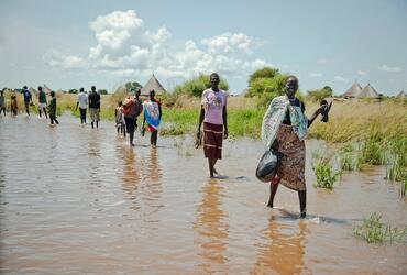 Joint Statement – Humanitarians protecting people in the climate change emergency