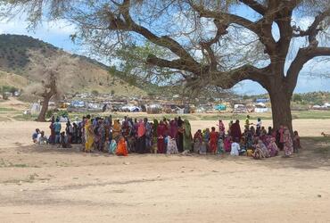 Needs Assessment in Tawila, North Darfur