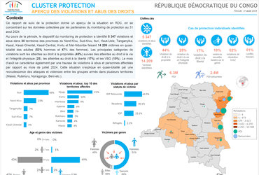 Aperçu des violations et abus au mois d’aout 2024 
