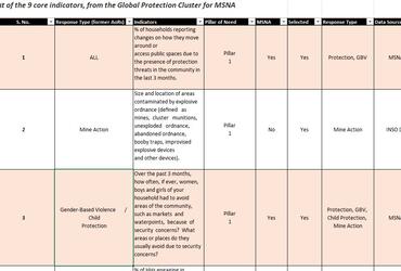 Protection Core Indicators List
